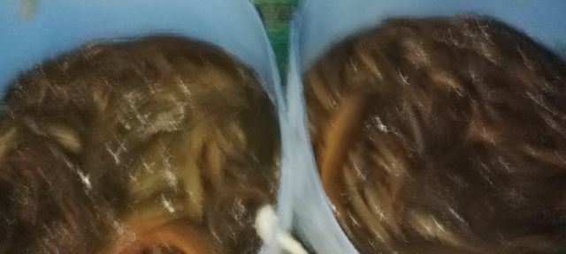 Eel fish - Image 4