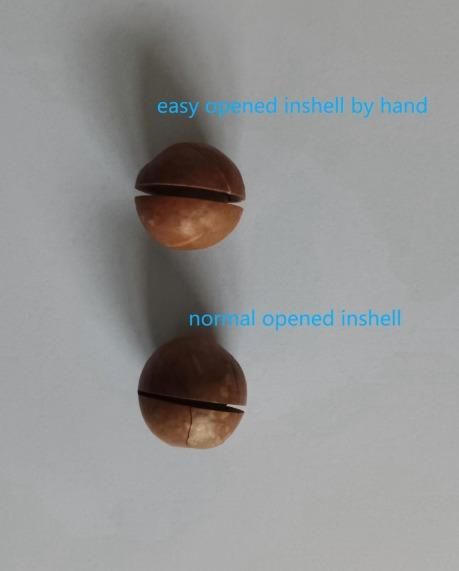Macadamia nuts/coffee - Image 4