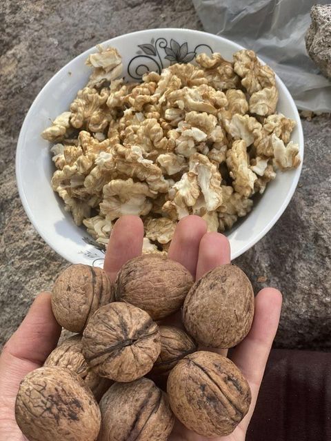 Wholesale Organic Raw Walnuts Bulk Supply Low Price Premium Quality Fresh Healthy Dry Fruits - Image 2