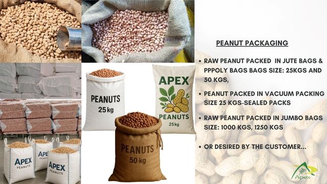 Java Peanut 6070, Java Peanut 60 70, Java Peanut 60/70, Peanut, Peanuts, Arachis hypogaea, Java Peanut, Java Peanut Kernels, Blanched Peanut, Indian Java Peanut, Indian Blanched Peanut, Peanuts Java Kernels, Peanuts Kernels, Peanut With Shell, Peanuts, Indian Peanuts,Java Peanuts, Java Peanut Supplier From India. - Image 3