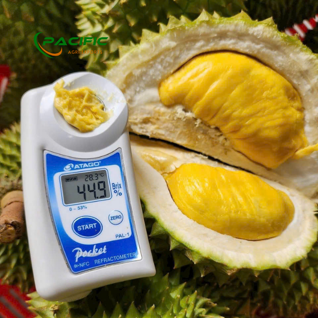 Frozen Durian Premium Quality Wholesale - Image 6