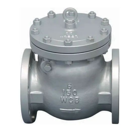 High-Quality Swimming Pool Check Valve for Optimal Flow Control - Image 6