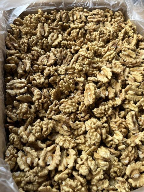 Organic Sun-Dried Walnuts in Shell High Protein Raw Processing Direct Wholesale From Natural - Image 4