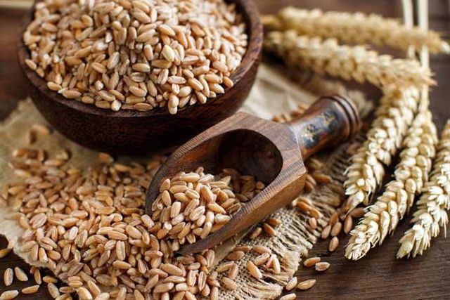 premium Hard Red Spring Wheat (HRSW) - Image 5