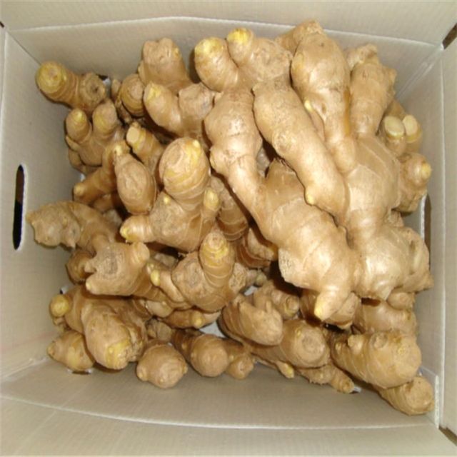 Fresh Ginger High Quality Farm Harvested Roots For Export Markets With Rich Taste And Texture - Image 4