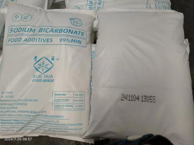 Factory of (NaHCO3) xuehua brand baking soda sodium bicarbonate powder Leavening Agent in China - Image 3