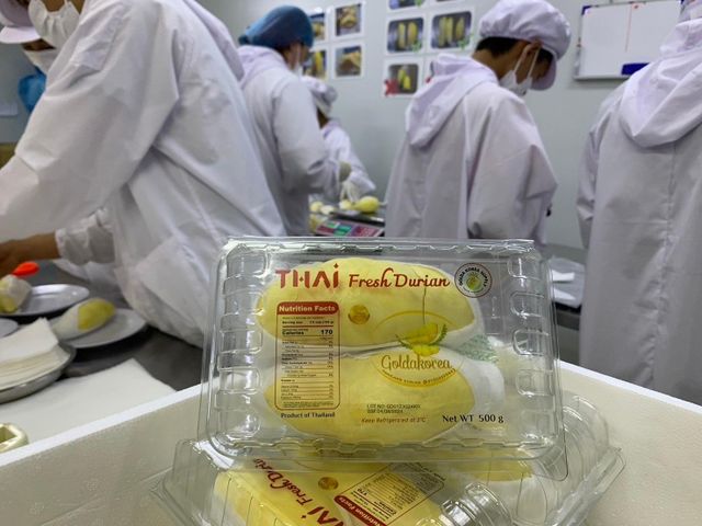Premium Fresh Organic Whole Durian Mon Thong King of Fruits Original Taste From Thailand Rich & Creamy 500 g /pack (Whole) - Image 6
