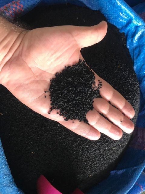 Premium Egyptian Nigella Seeds (Black Seed / Kalonji) - Image 2