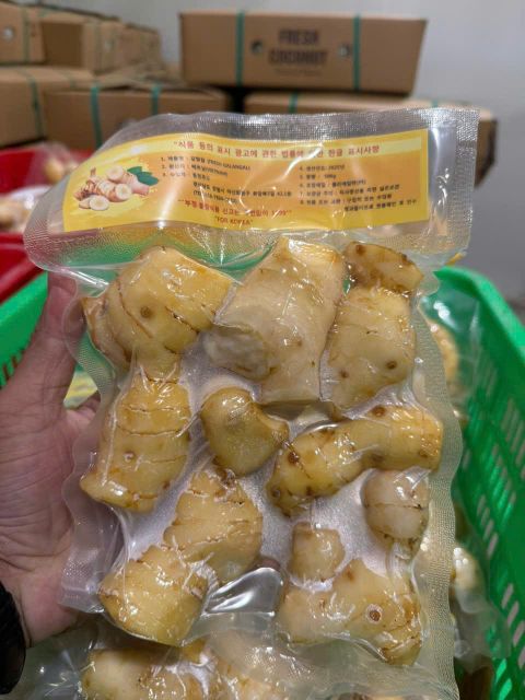 Fresh Galangal Grade A Shelf Life 30 Appearance Fresh Port Ho Chi Minh Weight (kg) 500gr Temperature 5C, 5c Flavor Authentic Depth - Image 4