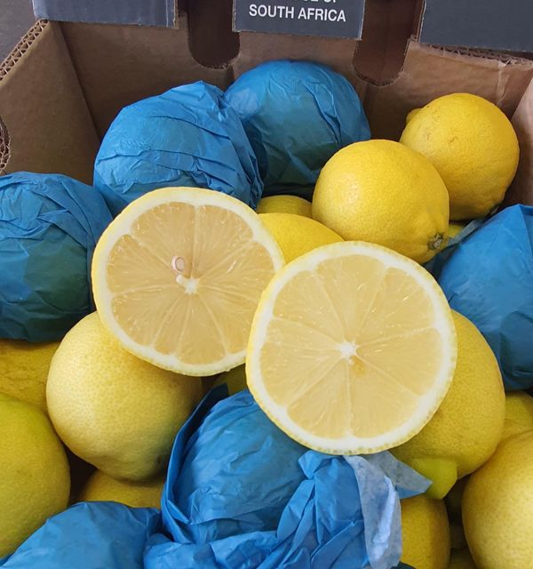 Class 1 export quality Fresh Eureka Lemons available - Image 5