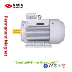 Three Phase AC Brushless Electric Motor - Image 1