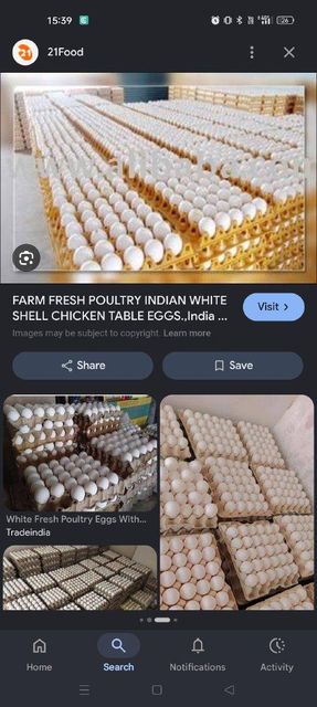 Eggs Color White Animal Species Chicken, Chickens - Image 1