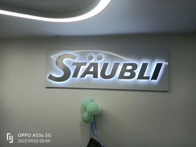 Stainless Steel Letter Finish Glossy Lighting Non Lit Letter Color Silver Letter Height Custom Material Grade SS 304 Letter Thickness 1 - Image 11
