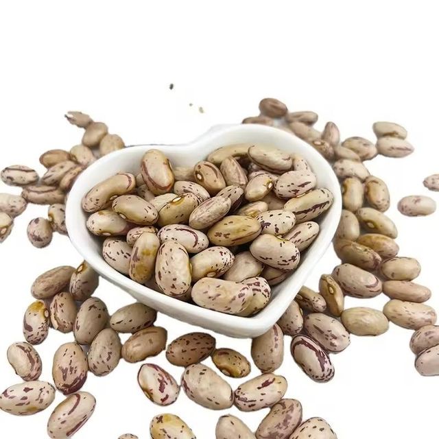 Wholesale British Light Speckled Kidney Beans Dried Raw 24 Months Shelf Life for Food Use Bulk Packaging Available - Image 4