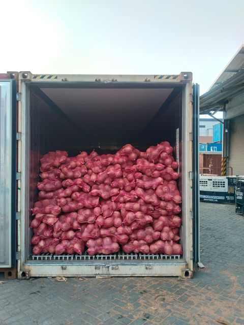 Semi Husked Coconut Grade A Origin Indonesia Packaging Nett Bags Specification Size 0,8KG Up - Image 3
