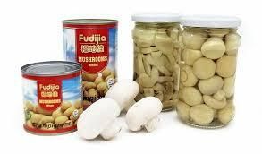 Canned Whole Button Mushroom Water Preserved 425G - Image 3