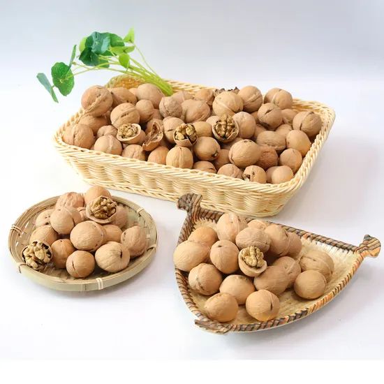 Xinjiang Walnut Kernel Light and Extra Light 10kg/Pk Origin China Storage Shade Trademark sugo Processing Raw HS Code - Image 3