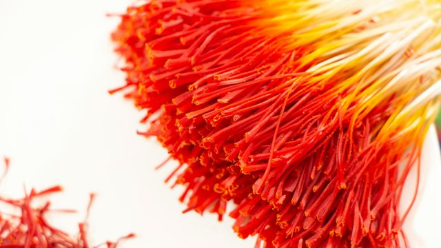 Iranian Saffron Super Negin Grade 1 - Image 3