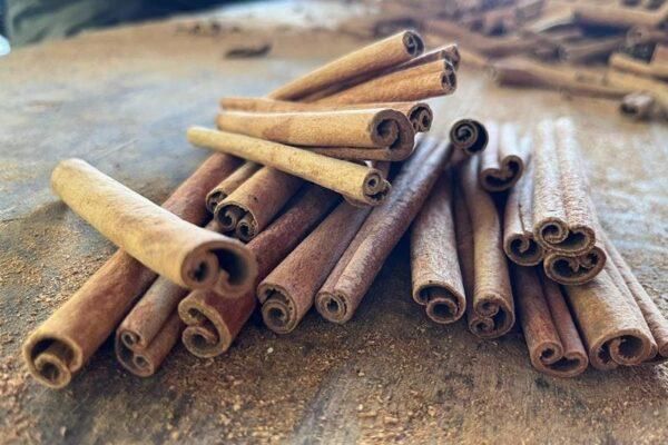 Cinnamon - Image 2