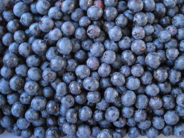 IQF blueberry blackberry raspberry - Image 4