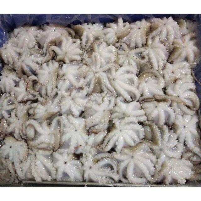 Frozen Baby Octopus Flowers / Baby Octopus IQF – product photo 5, product detail gallery
