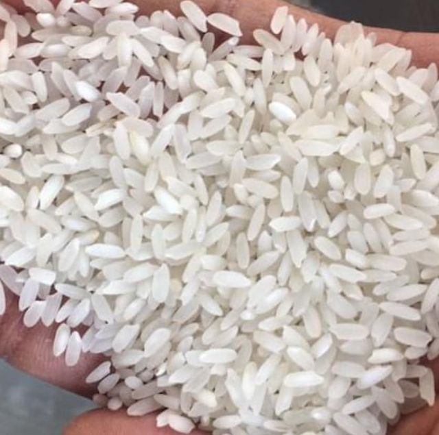 Basmati & Non - Basmati Rice Origin India Features GMO-Free, Organic Packaging Size 40 kg, 50 kg, > 1 kg to 5 kg, > 10 kg to 25 kg, > 25 kg, > 5 kg to 10 kg - Image 5