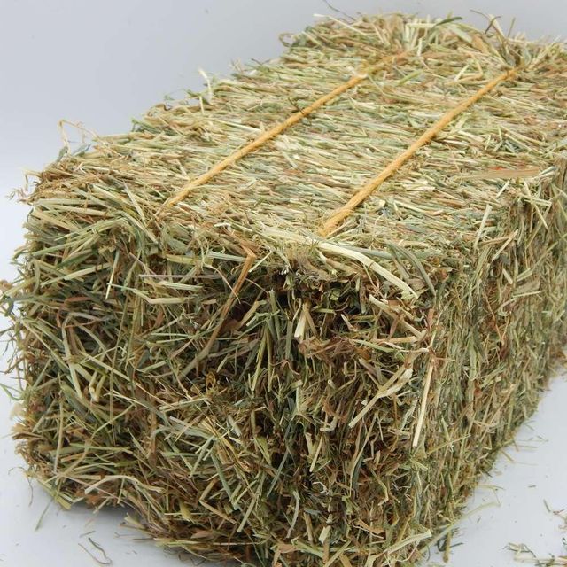 Timothy Hay For Small Animals Premium Timothy Hay With Soft Green Stems And Leaves For Daily Feeding Nutrition - Image 4
