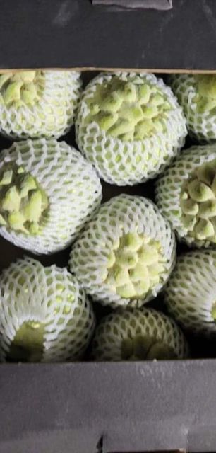 Custard Apple - Image 4