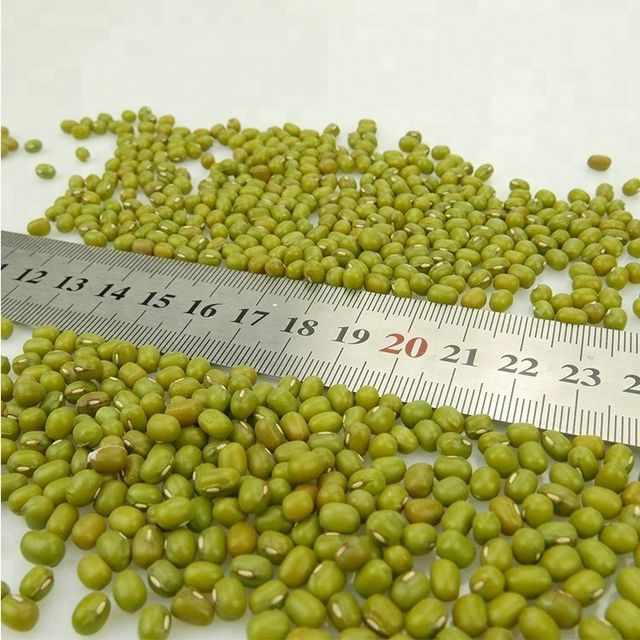 New Crop Mung Bean Seed Nice Price Green Mung Bean Vigna Beans - Image 6