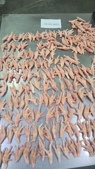 Chicken paws - Image 1