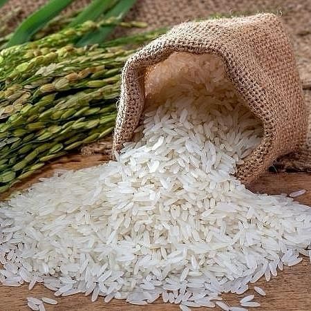 Direct from Vietnam High Quality Fresh Grade White Jasmine Rice Dried and Soft Best Price with Free Tax - Image 6
