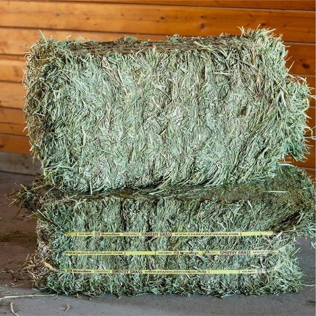 Trending Sale Wholesale New Best Quality Alfalfa Hay Timothy Hay and Bermuda Hay for Sale - Image 4