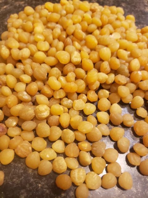 Fresh Akpi Seed Fresh Akpi Seed Edible 1 Color Brown Grade Premium Condition Good Origin Thailand Quality Optimum High P - Image 2