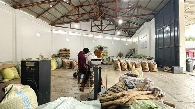 Arabica Gayo Coffee Green Beans Specialty – product photo 4, product detail gallery