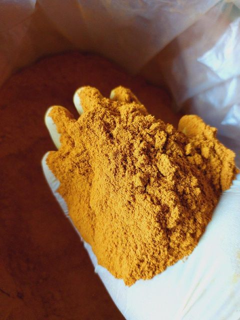 Turmeric Powder - Image 1
