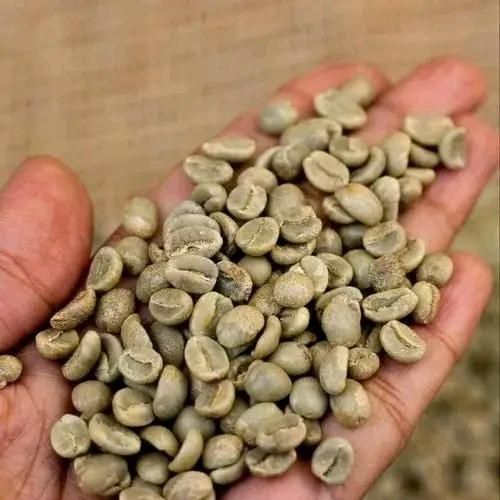 Cocoa beans and coffee beans - Image 1