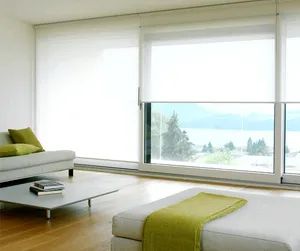 Transparent Horizontal Roller Blinds Kind Slat Origin China Style Modern Model NO. RB-009 Open Type Manual Trademark - Image 1
