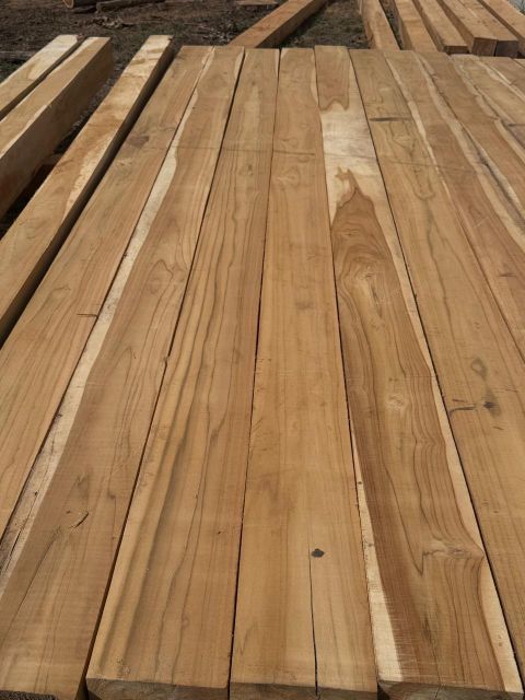 28 year old Costa Rica plantation Teak. - Image 3