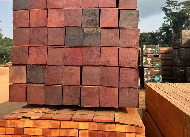 Padauk , Sappeli, Okan, Bilinga, Ebira, Ilumba, Ayouse , Teak Lumber - Image 4