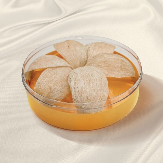 High Quality Natural swallow Bird's Nest Real Edible Round Bird Nest - Image 4