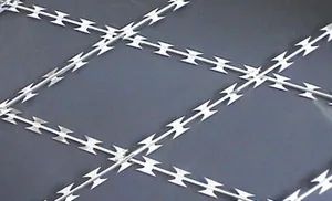 Top Quality Low Price Concertina Razor Barbed Wire - Image 2