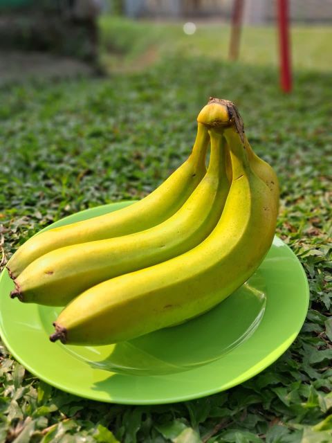 Fresh Cavendish Banana Grade A Premium Wholesale Export Quality - Image 2