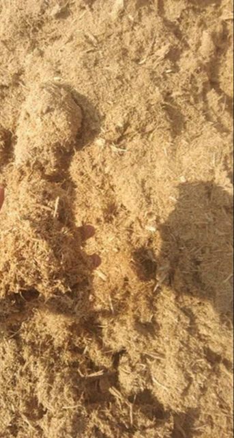 Natural Sugarcane Bagasse Powder Manufacturer Piyada Brand Name Piyada Delta Place of Origin - Image 4