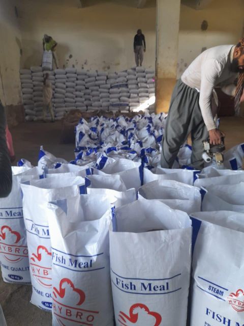 Steamed Dried Fishmeal Freshness Level Fresh Quality SGS Certified Place of Origin Pakistani Fishmeal Packaging Details 50Kg in new P.P Woven Bags - Image 3