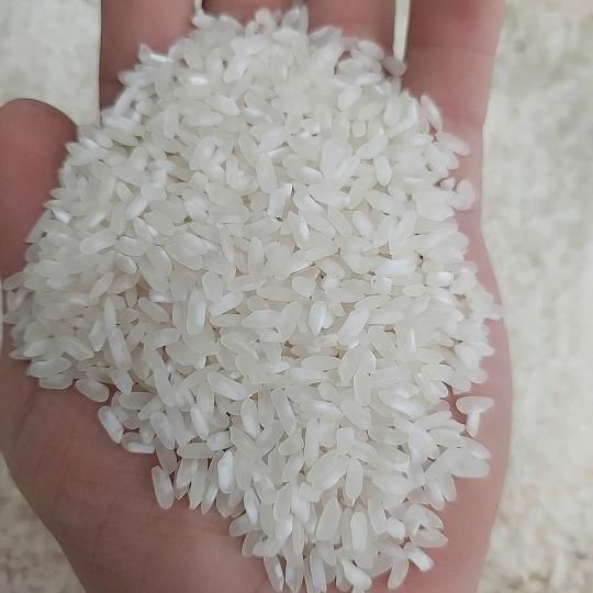 Jasmine rice 5% broken, Calrose rice 5% broken, Japonica rice 3% broken - Image 3