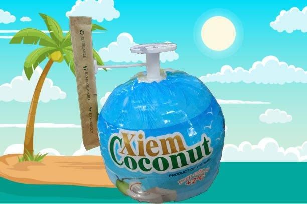 Easy open coconut + plastic straw - Image 2