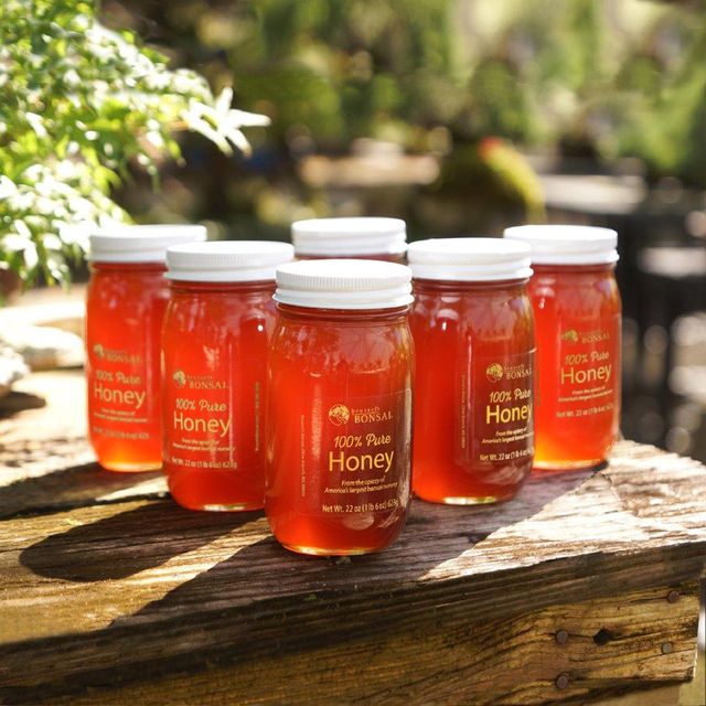 Organic Honey Produced From Carefully Managed Beekeeping Practices Offering Purity And Strong International Demand - Image 4