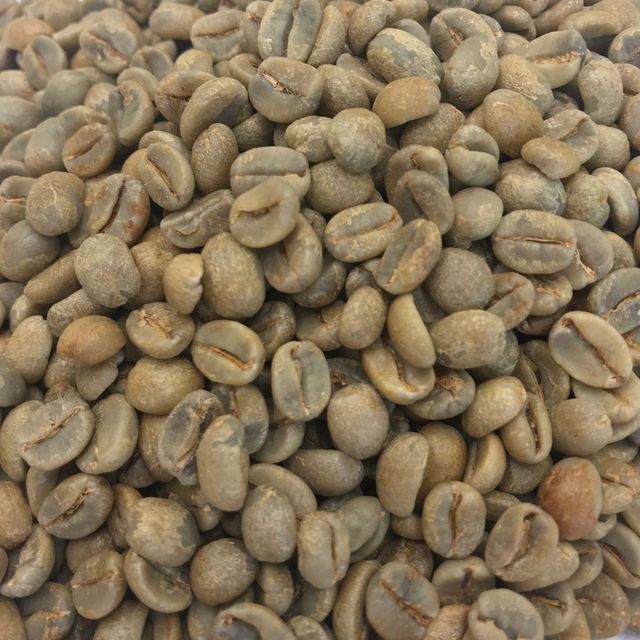Handpicked Robusta Coffee Bean For Strong Flavor Profile Premium Robusta Coffee Bean For Wholesale Buyers - Image 3