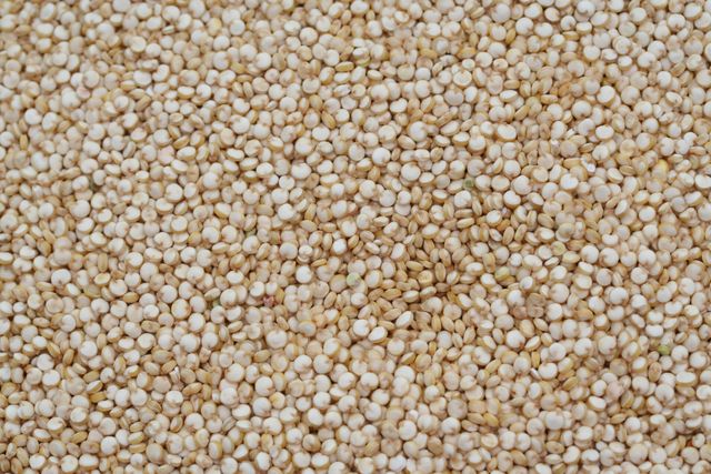 White Quinoa Purity 99.95% Type White bold Packaging 25Kg PP Max. Moisture (%) 12 Availability Year-round Color Sorting Color Sorted - Image 1