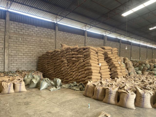Burundi Arabica Green Coffee - Image 4